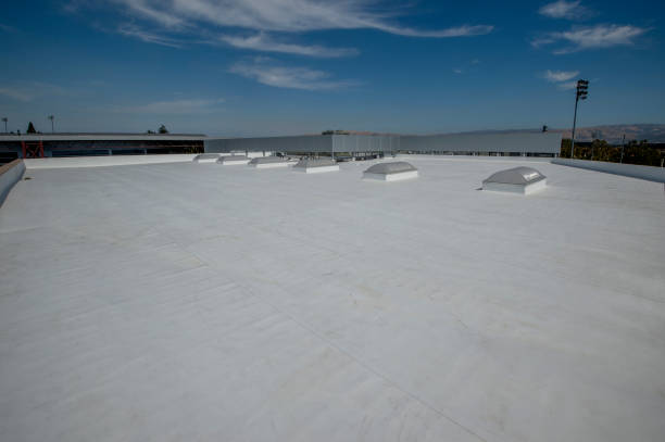 Best Solar Panel Roofing Installation  in Reeds Spring, MO