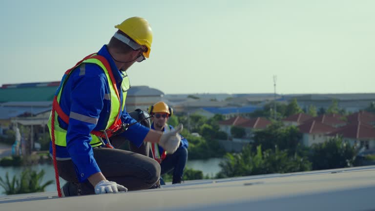 Best Roof Maintenance and Cleaning  in Reeds Spring, MO