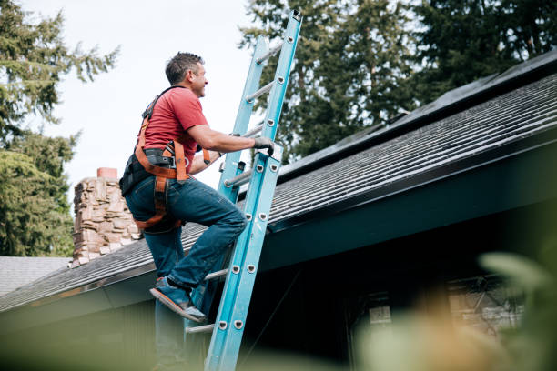 Best Sheet Metal Roofing  in Reeds Spring, MO