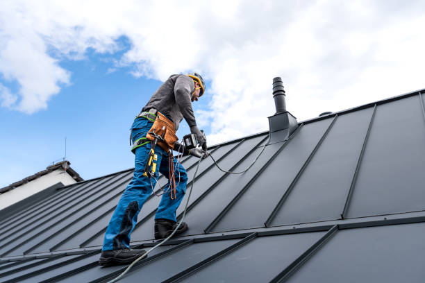 Best Roof Insulation Installation  in Reeds Spring, MO